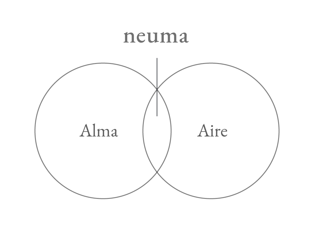 Mapa conceptual de nuestra identidad.